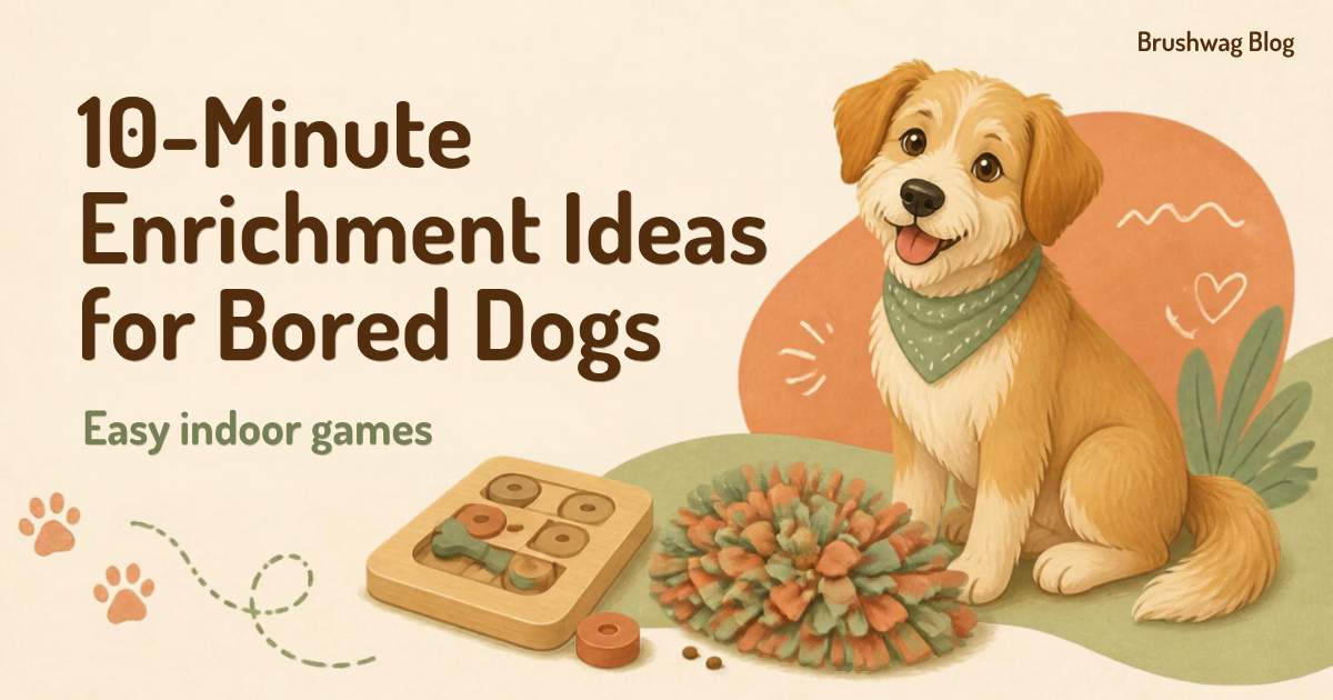 Illustrated dog with a puzzle toy and snuffle mat with the title 10-Minute Enrichment Ideas for Bored Dogs